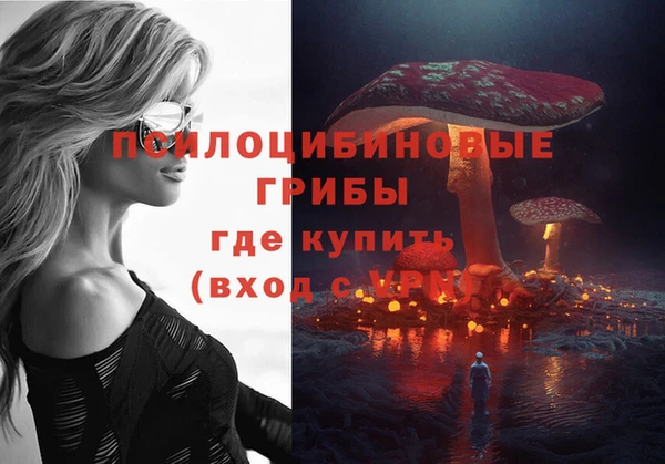скорость Козловка